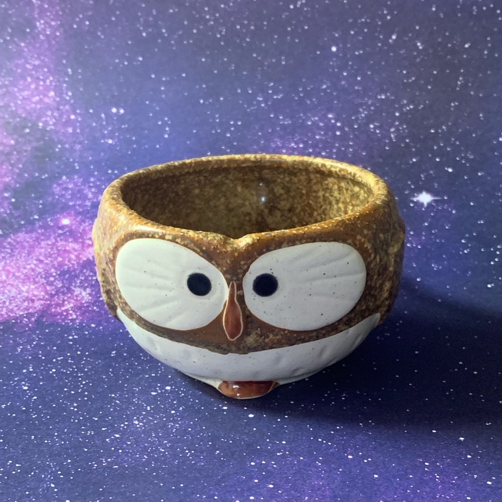Calling all owl lovers! New Uncommon Goods owl mug